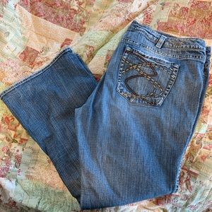 Plus size Silver Jeans